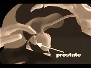 دانشجو تجاوز خواهد prepods در فیزیک. سکس تخت خواب